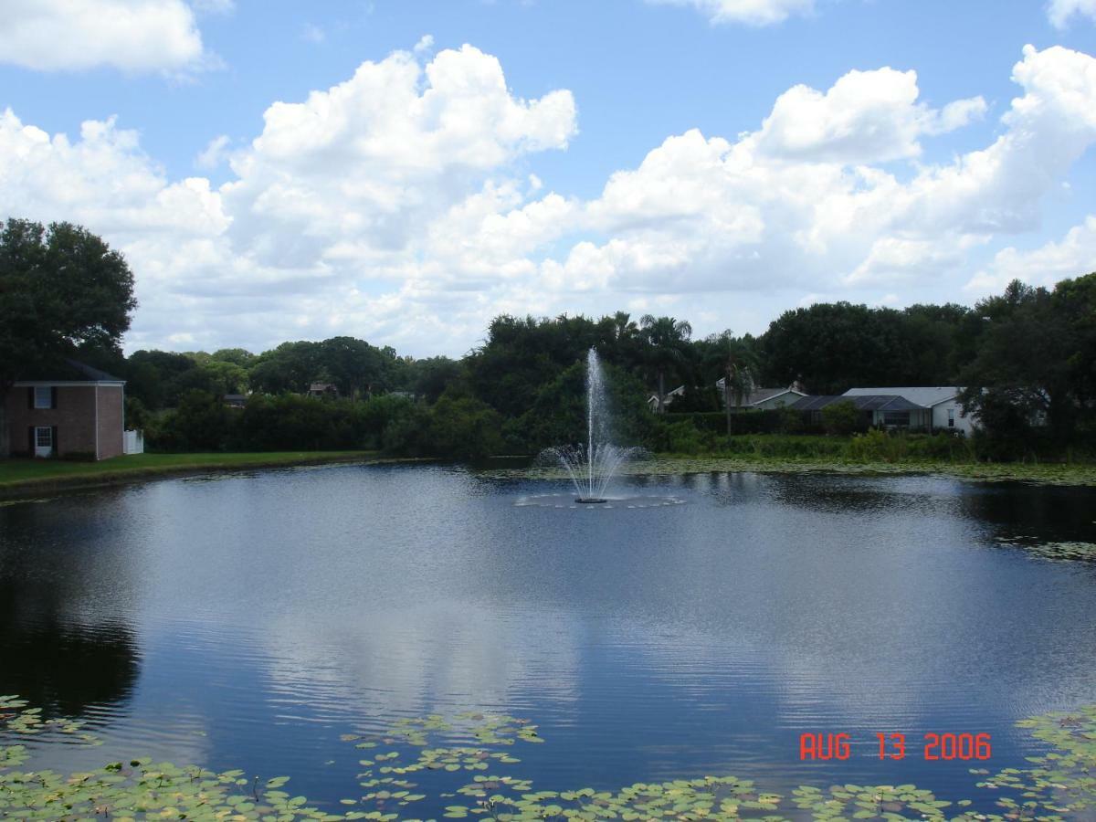 Beautiful Condo Close to Busch Gardens Tampa Exterior foto